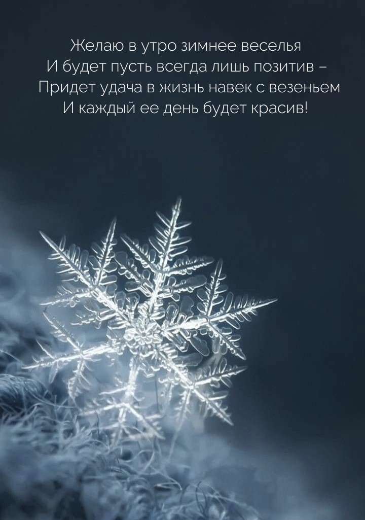 Желаю в утро зимнее веселья и будет пусть всегда лишь позитив 