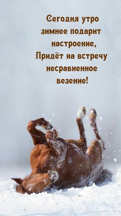 Сегодня утро зимнее подарит настроение