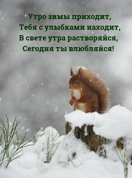 Утро зимы приходит, тебя с улыбками находит
