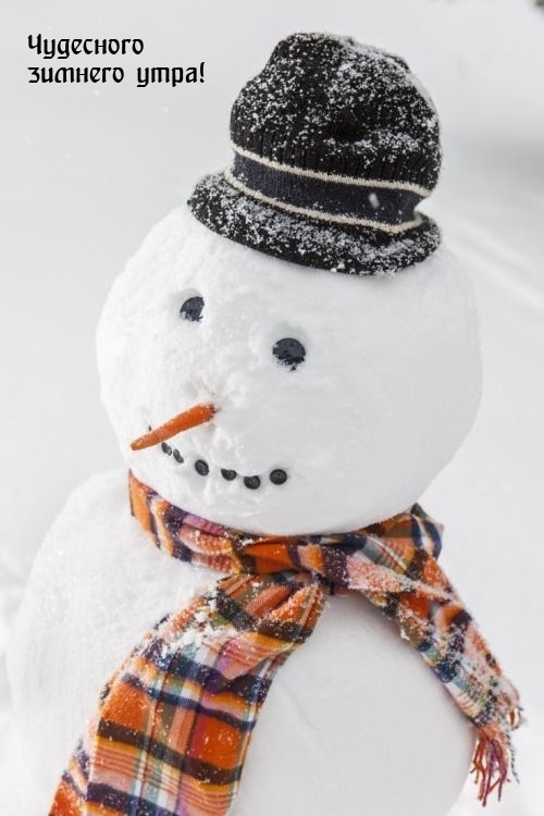 Чудесного зимнего утра!