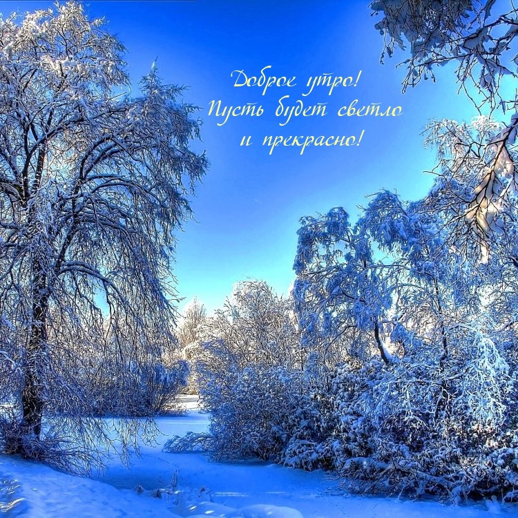 Доброе утро! Пусть будет светло и прекрасно! 