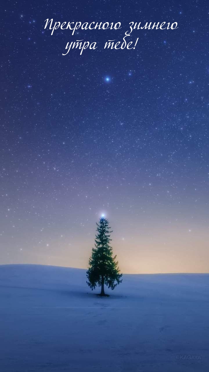 Прекрасного зимнего утра тебе!