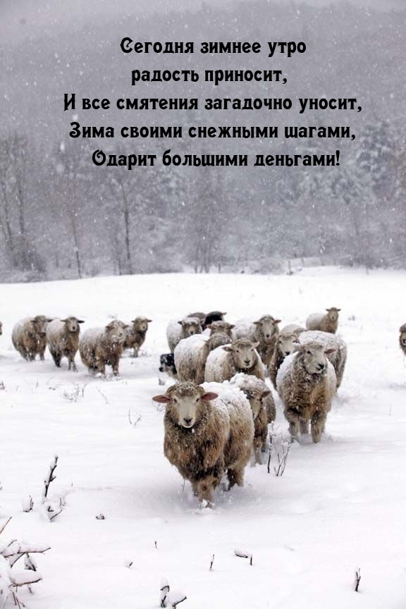 Зимнее утро радость приносит, и все смятения загадочно уносит