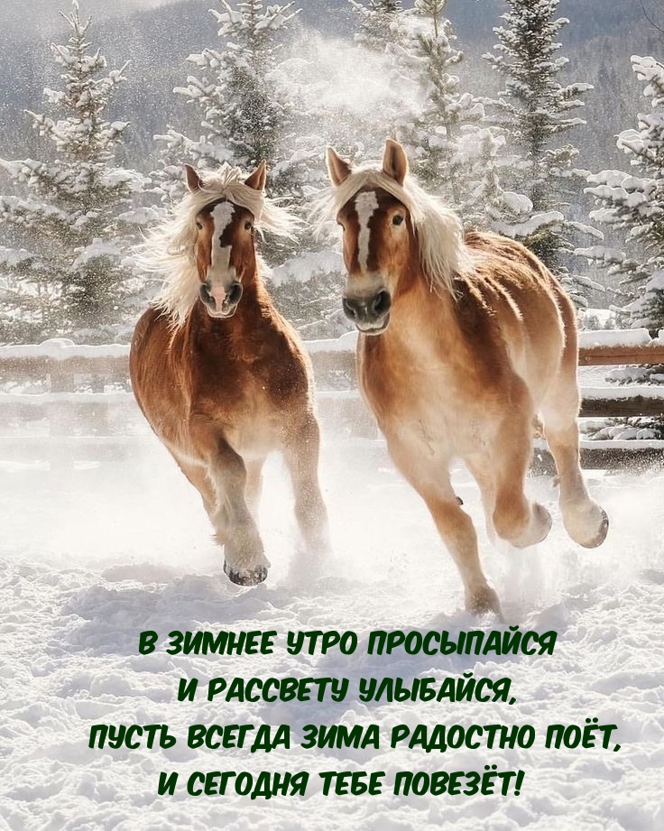 В зимнее утро просыпайся и рассвету улыбайся