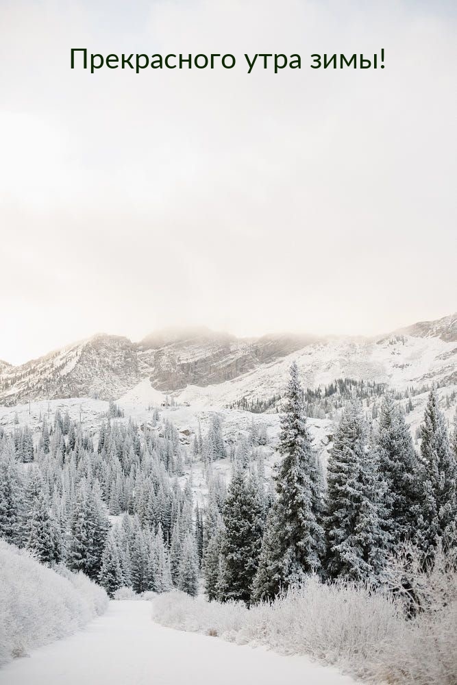 Прекрасного утра зимы!