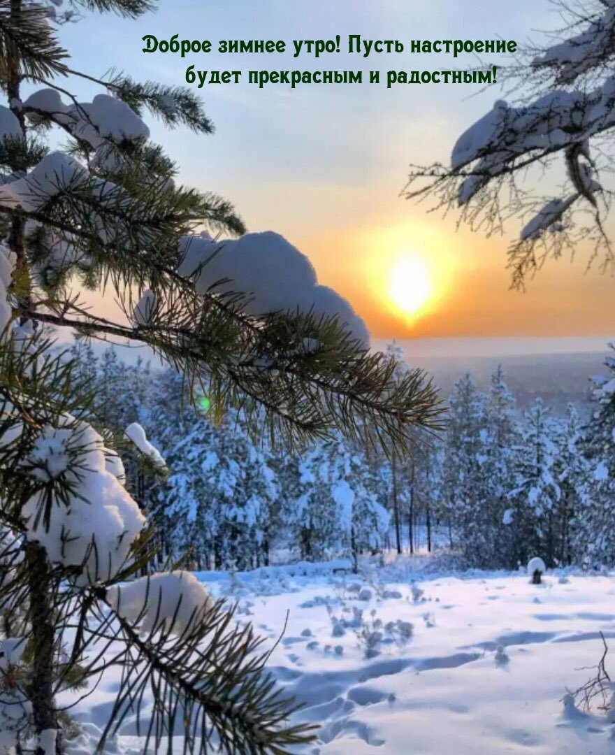 Доброе зимнее утро! Пусть настроение будет прекрасным и радостным!