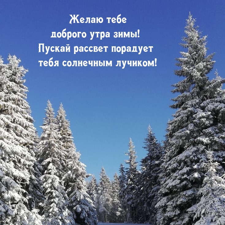 Доброго утра зимы! Пускай рассвет порадует солнечным лучиком!