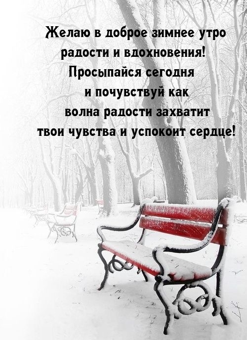 Желаю в доброе зимнее утро радости и вдохновения! 