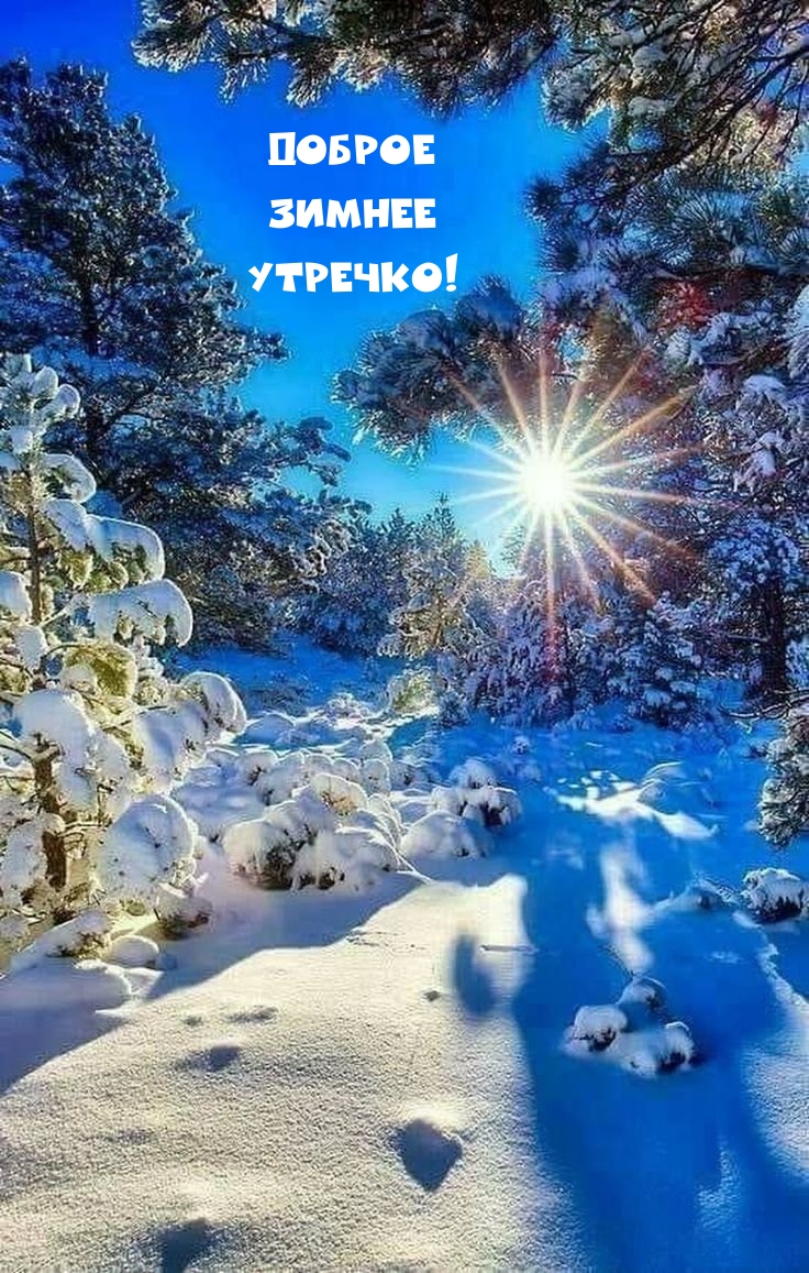 Доброе зимнее утречко!