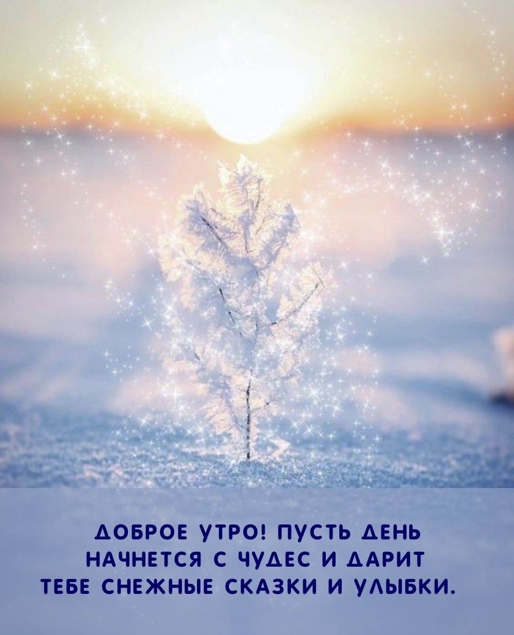 Доброе утро! Пусть день начнется с чудес и дарит снежные сказки