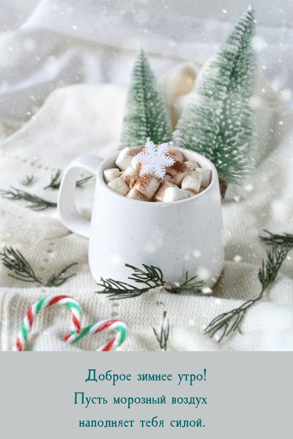Доброе зимнее утро! Пусть морозный воздух наполняет силой. 
