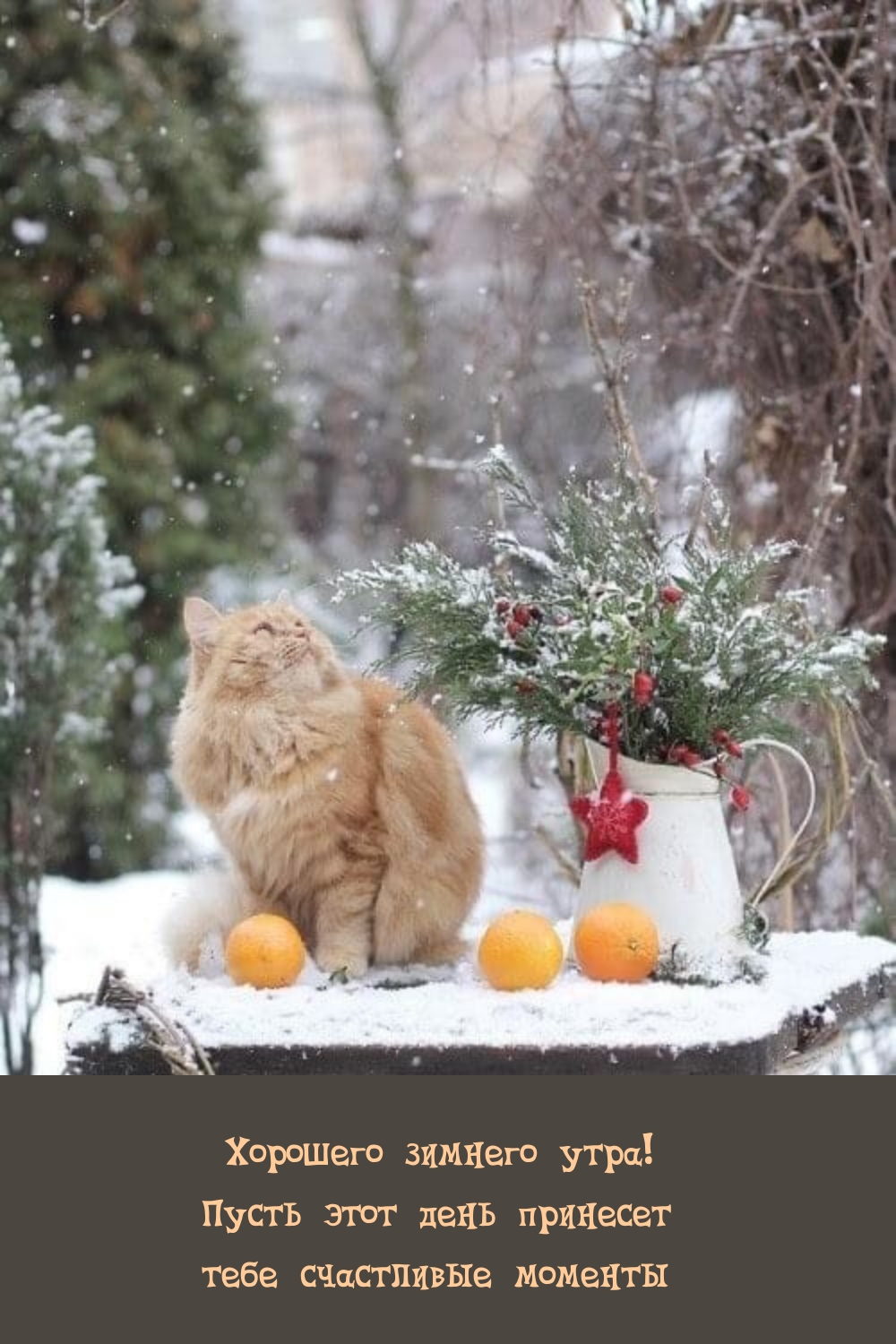 Хорошего зимнего утра! Пусть день принесет счастливые моменты