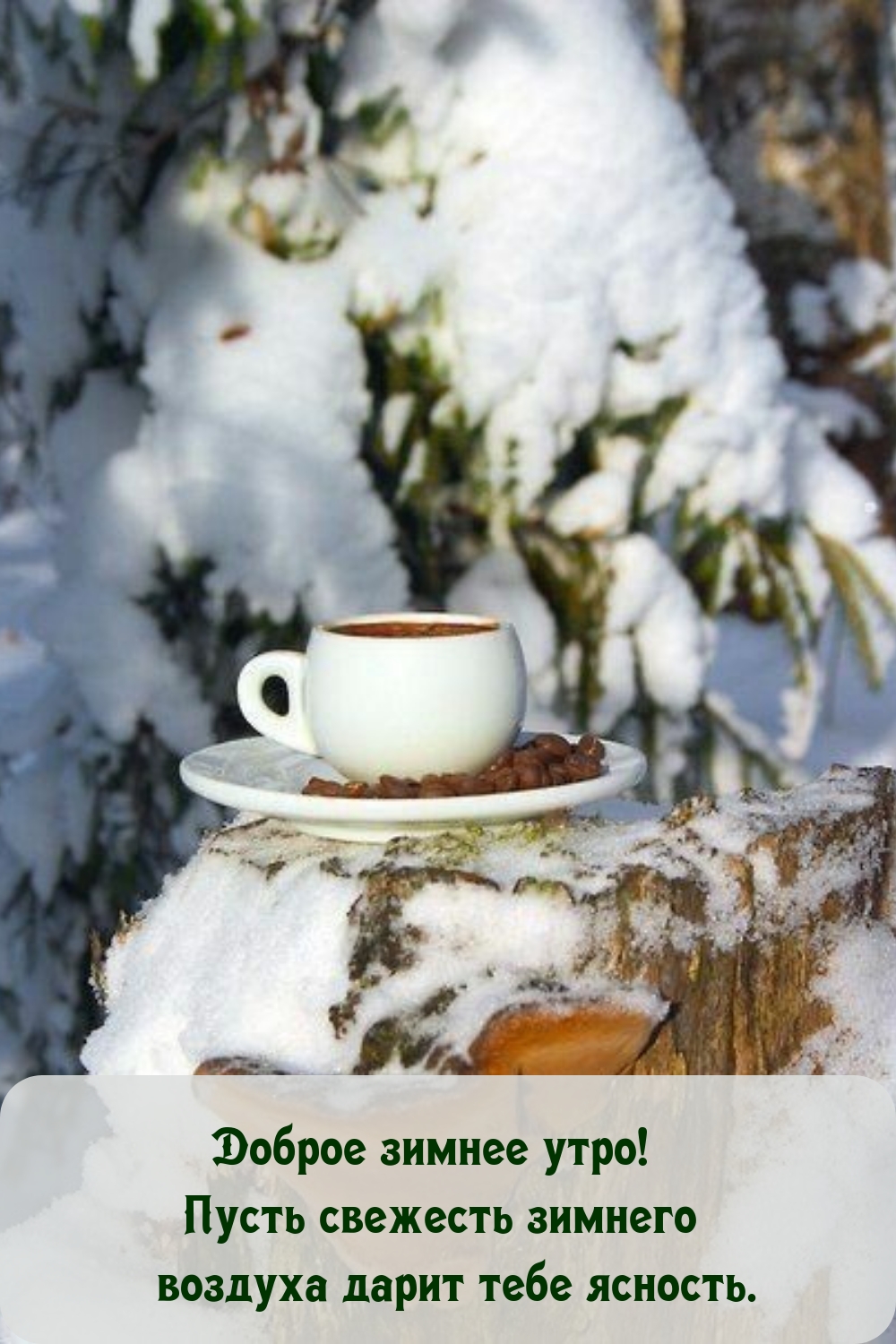 Пусть свежесть зимнего воздуха дарит тебе ясность.