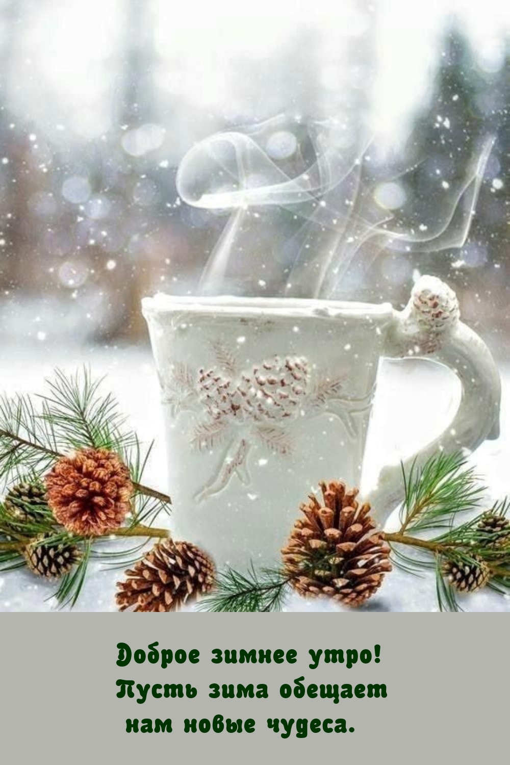 Доброе зимнее утро! Пусть зима обещает нам новые чудеса