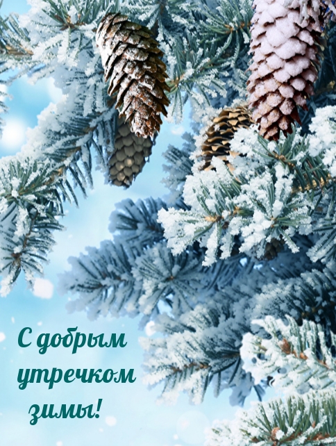 С добрым утречком зимы!