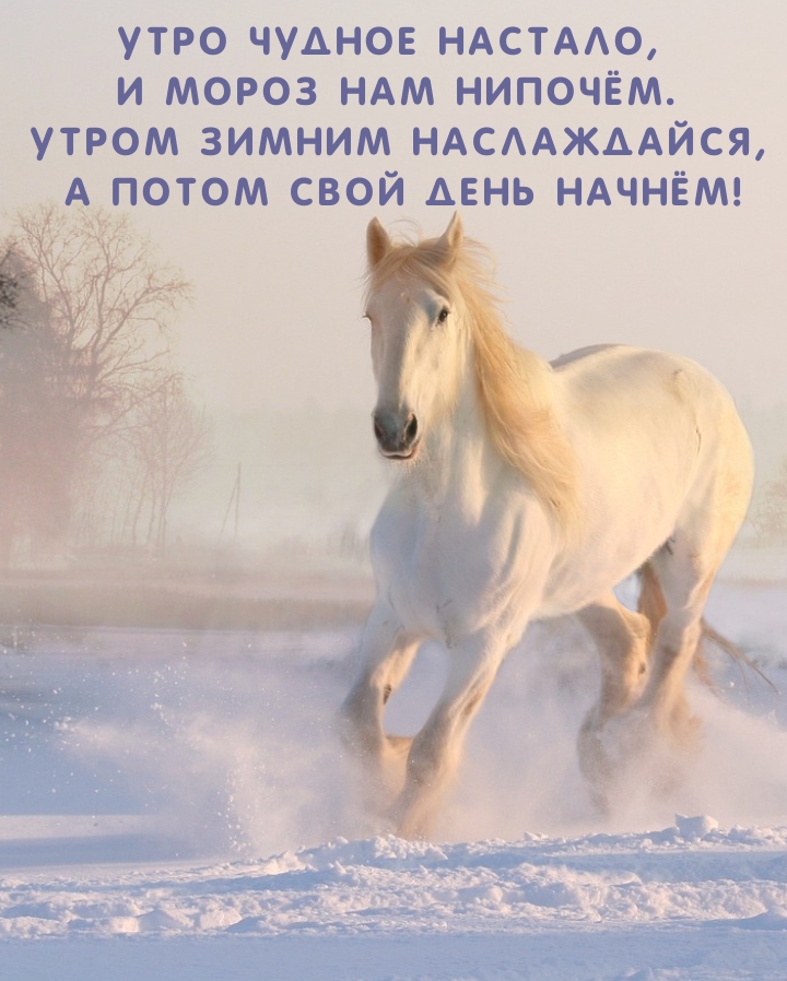 Утро чудное настало, и мороз нам нипочём.