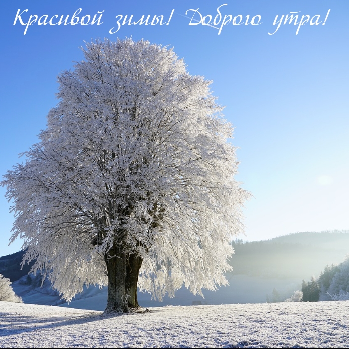Красивой зимы! Доброго утра!