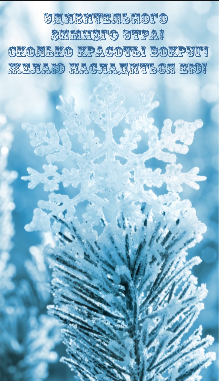 Удивительного зимнего утра! Сколько красоты вокруг!