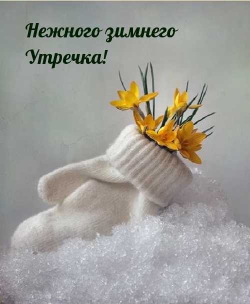 Нежного зимнего Утречка!