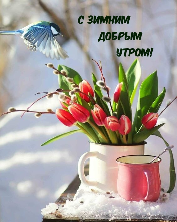 С зимним Добрым Утром!