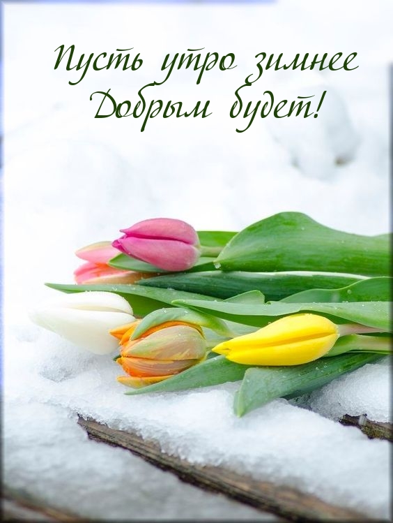Пусть утро зимнее добрым будет!