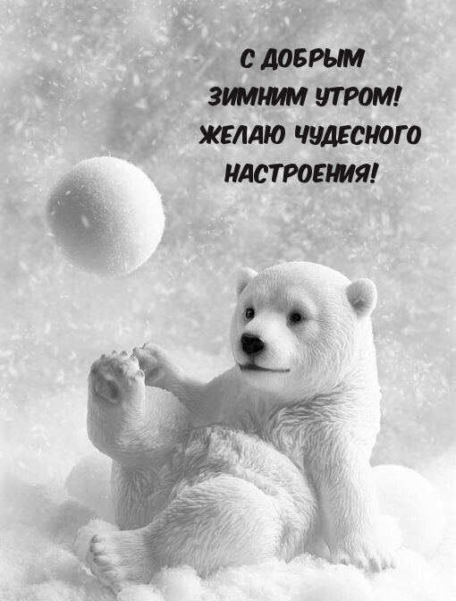 С добрым зимним утром! Желаю чудесного настроения!