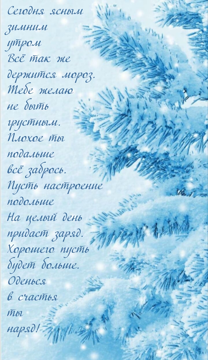 Сегодня ясным зимним утром всё так же держится мороз.