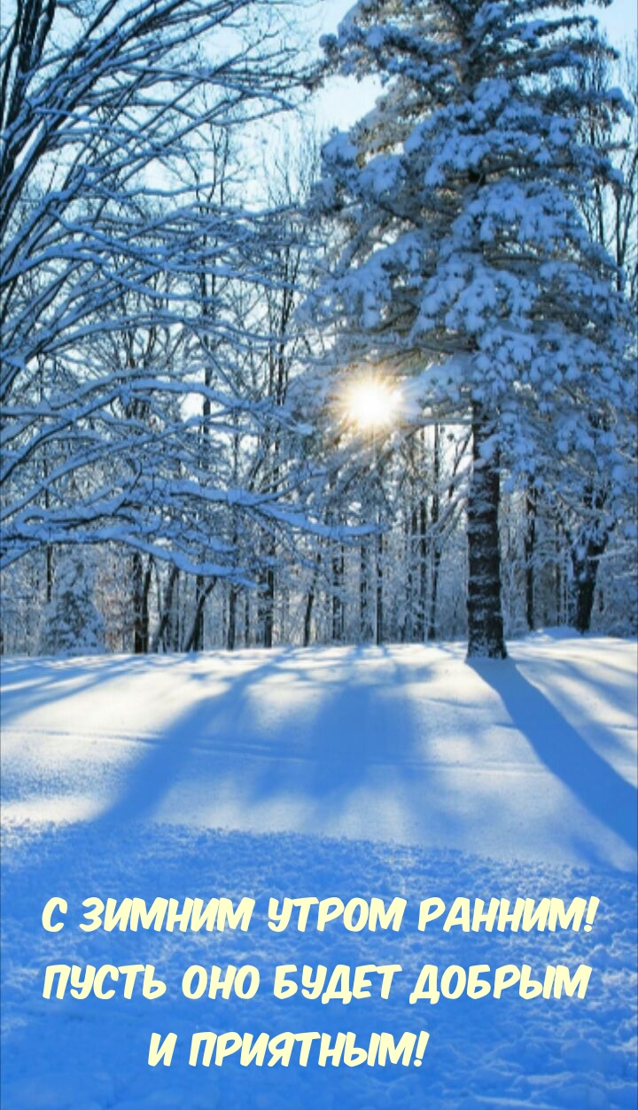 С зимним утром ранним! Пусть оно будет добрым и приятным!