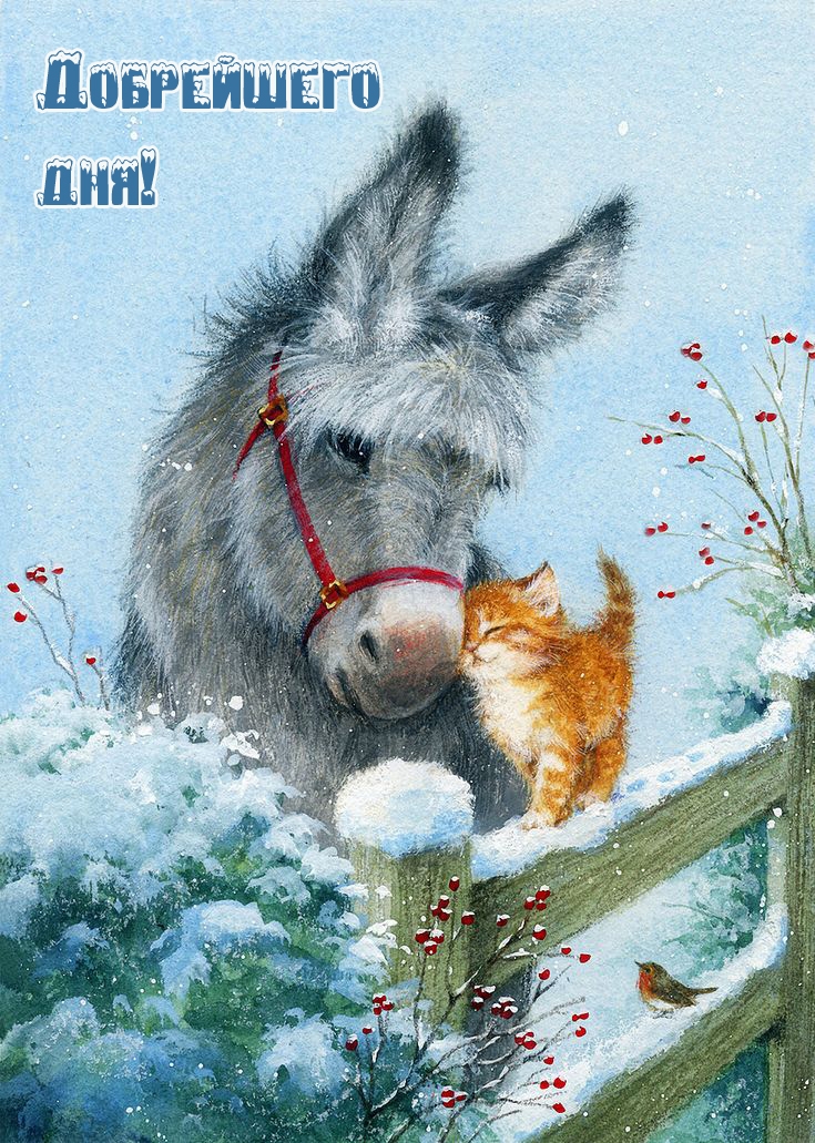 Добрейшего дня!