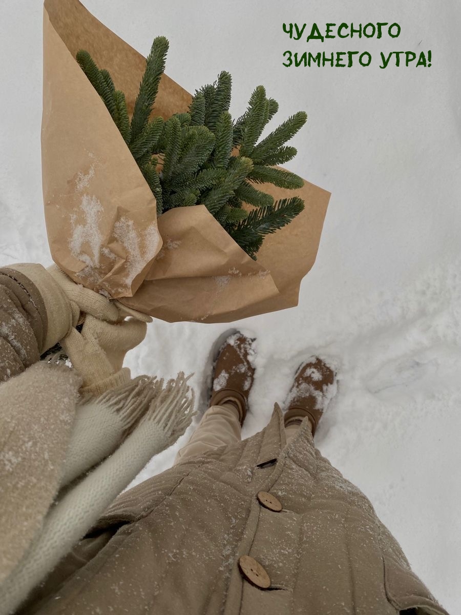 Чудесного зимнего утра!