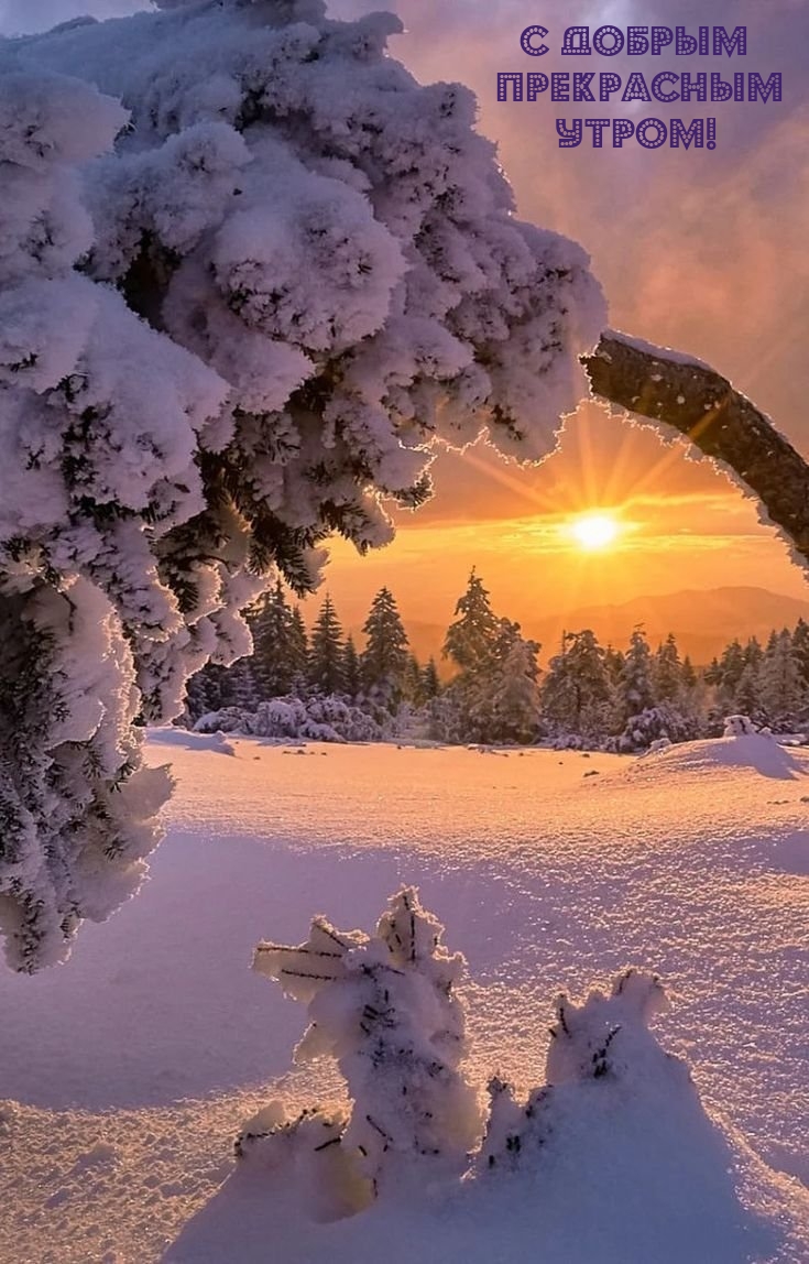 С добрым прекрасным утром!