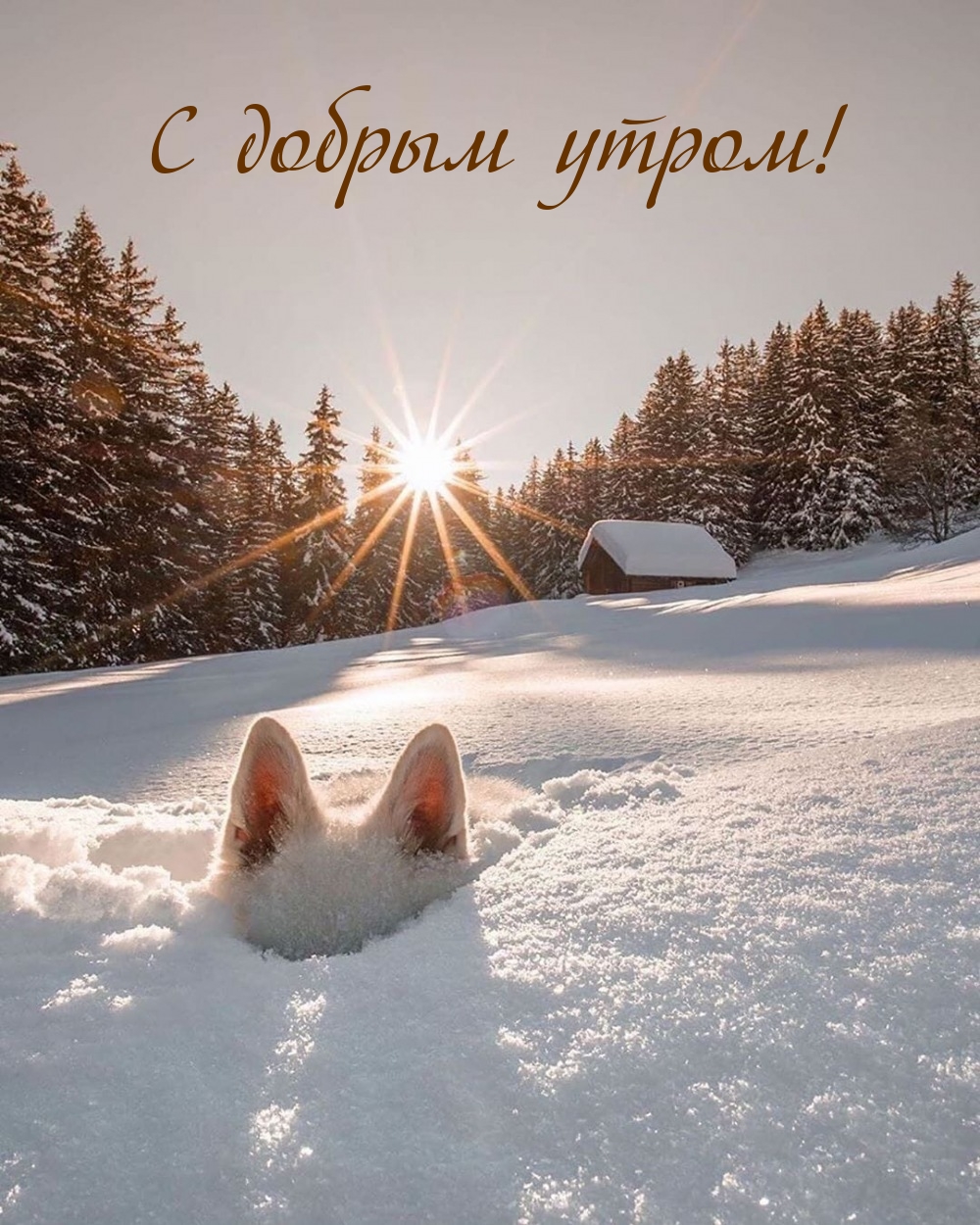 С добрым утром!