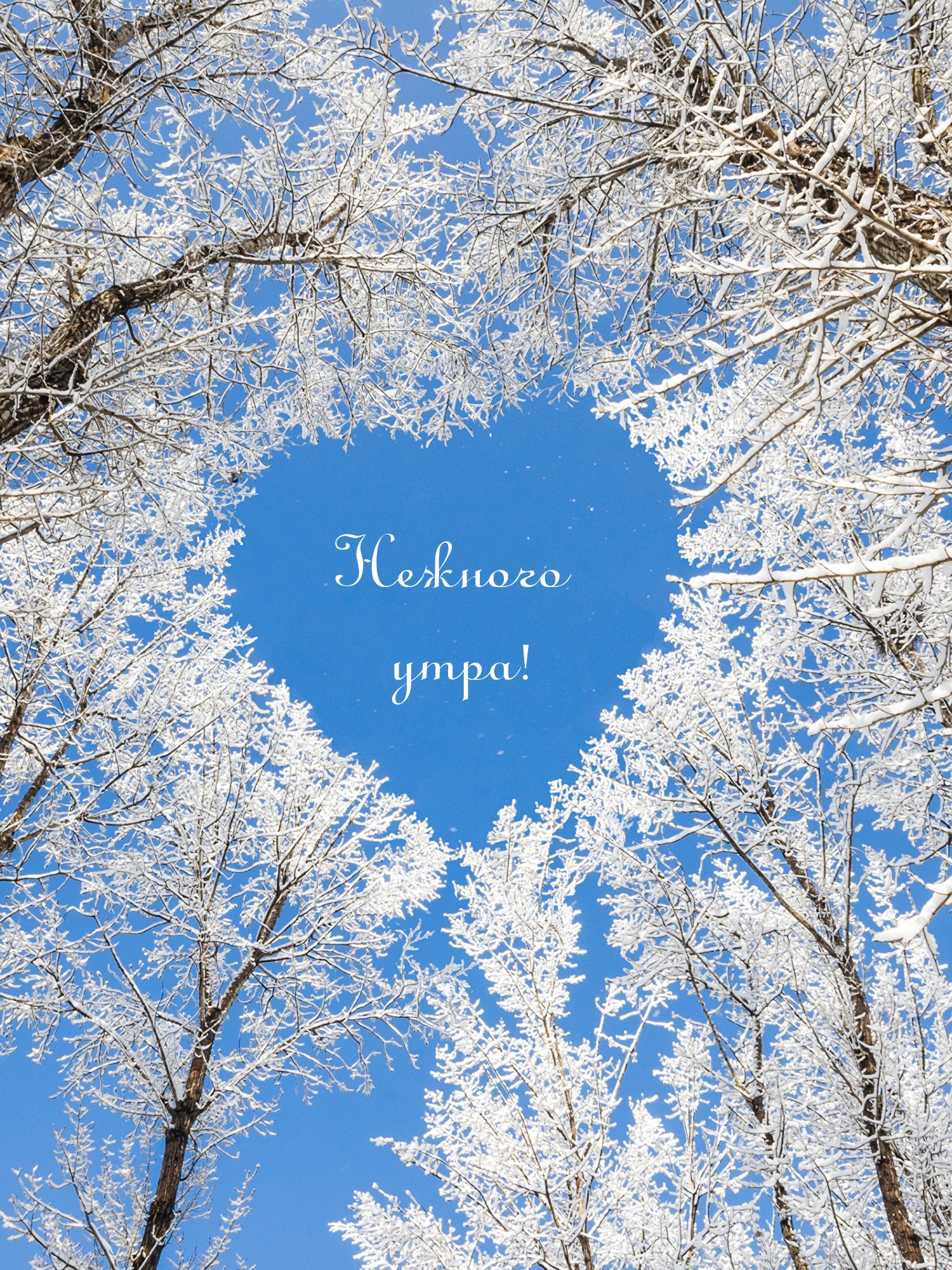 Нежного утра!