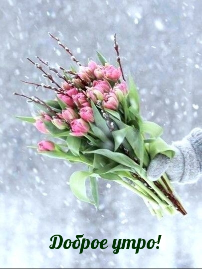 Доброе утро!