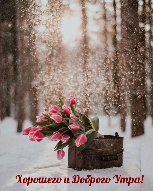 Хорошего и Доброго Утра!