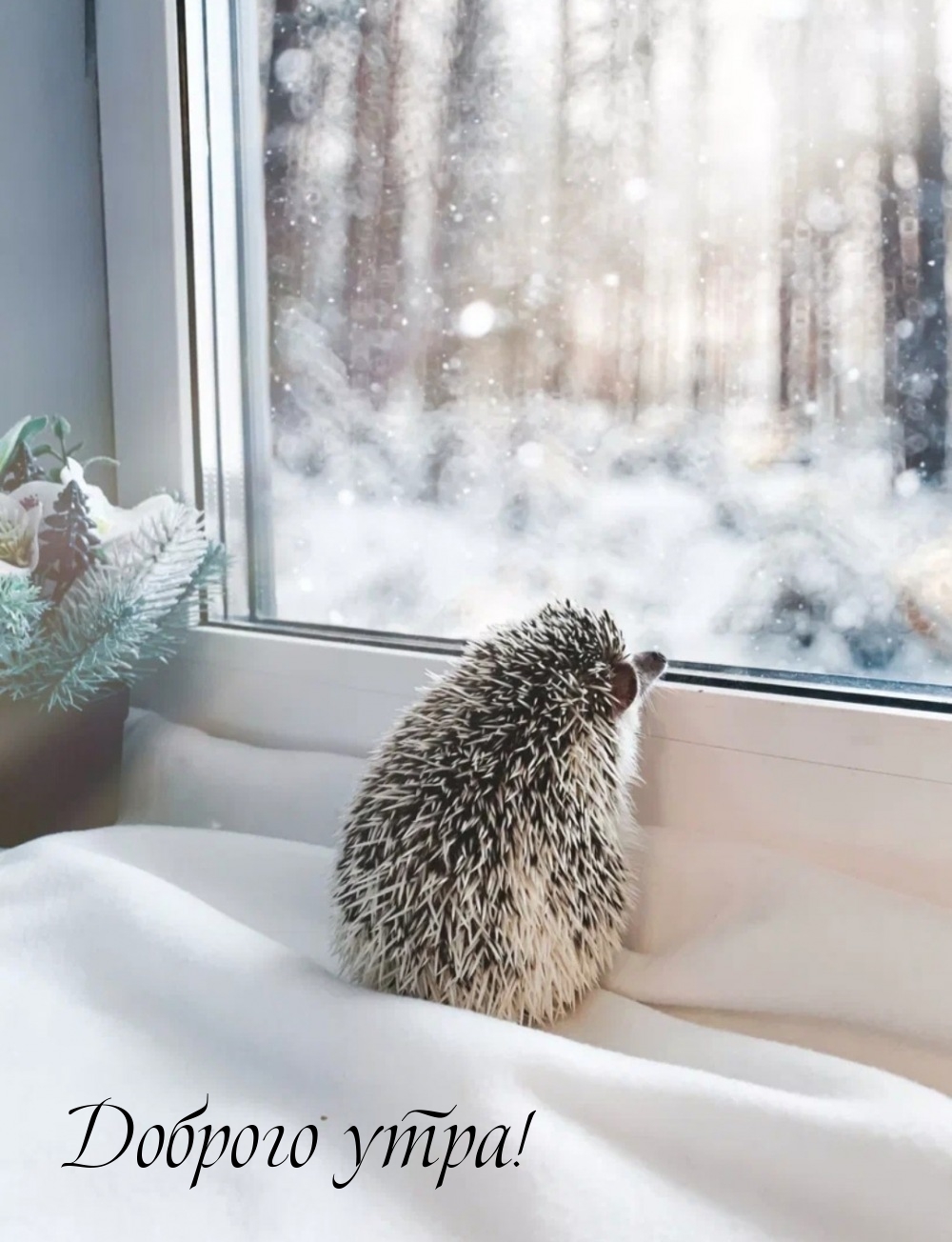 Доброго утра!