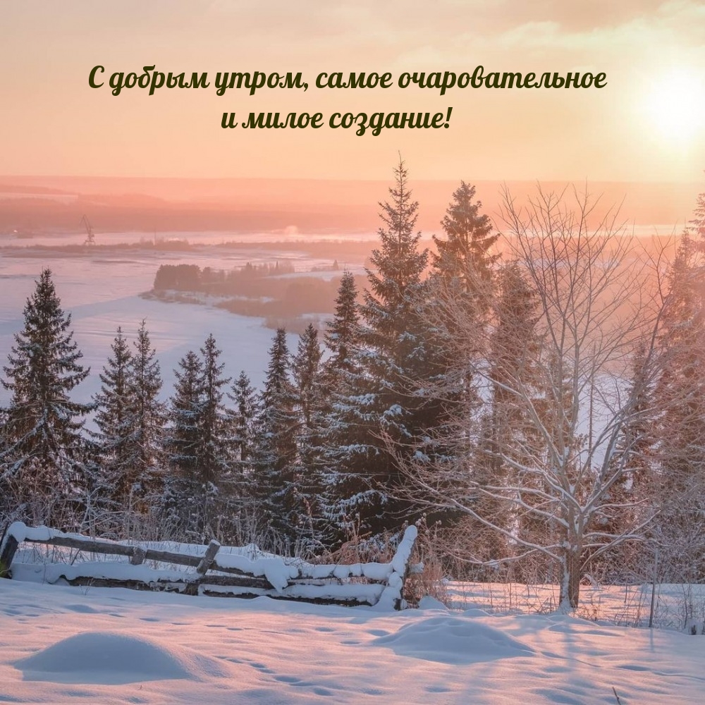 С добрым утром, очаровательное и милое создание!