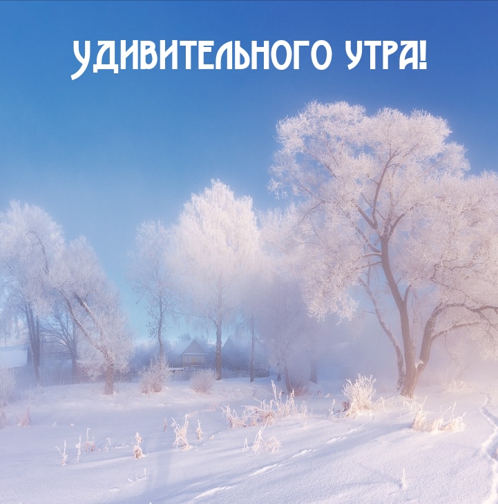 Удивительного утра!