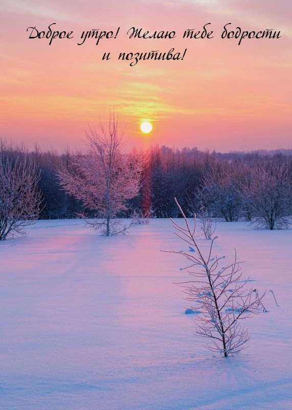 Доброе утро! Желаю тебе бодрости и позитива!