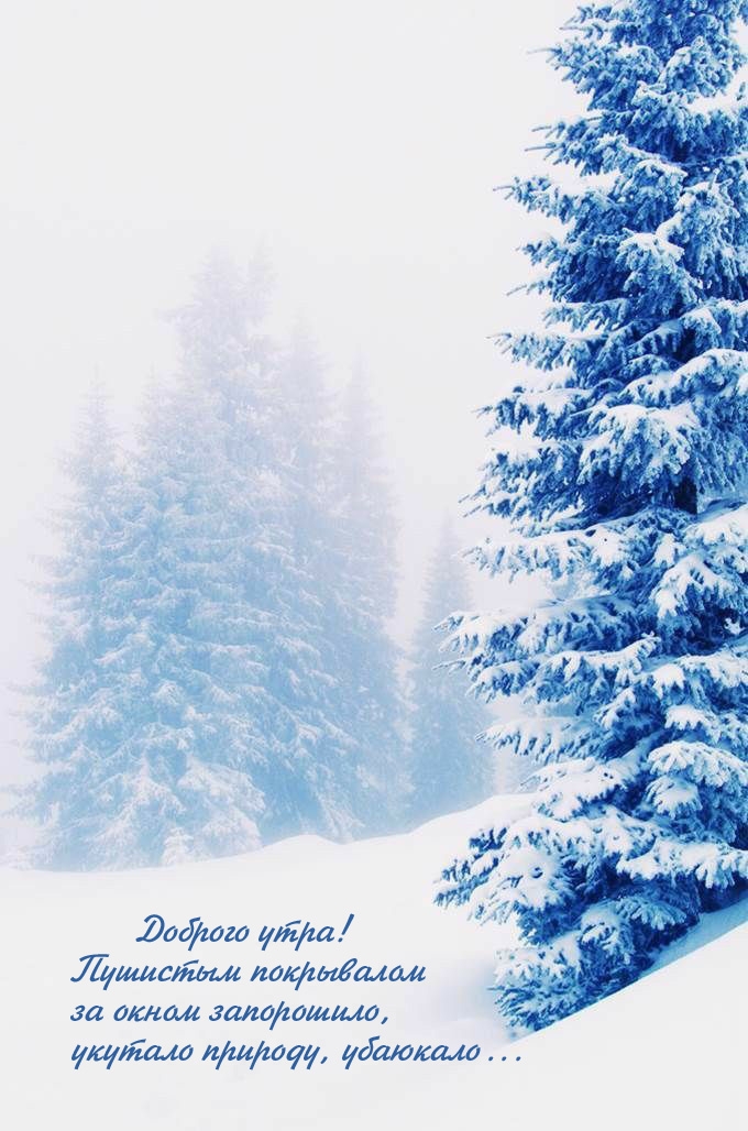 Доброго утра! Пушистым покрывалом за окном запорошило