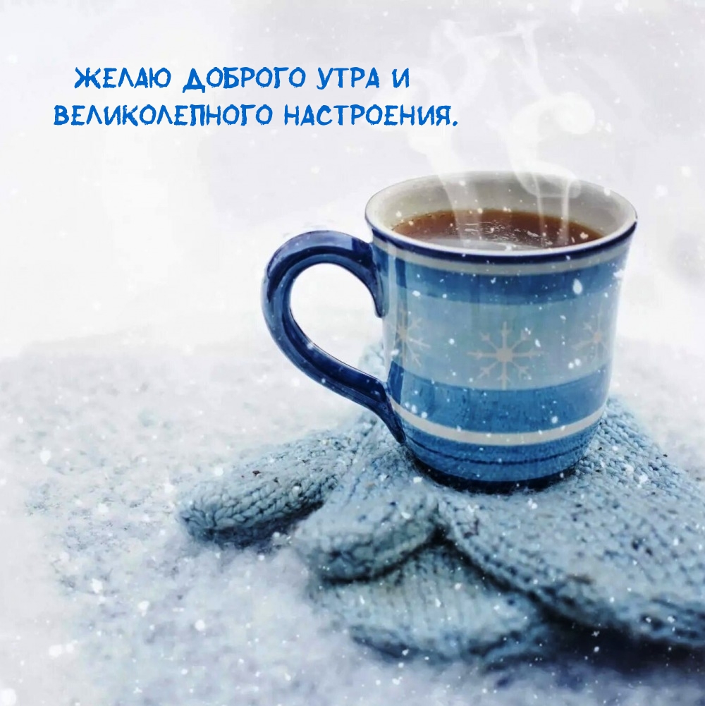 Желаю доброго утра и великолепного настроения. 