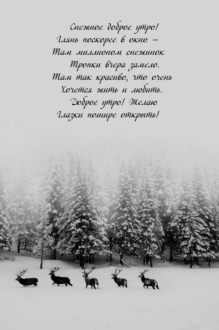 Снежное доброе утро! Желаю глазки пошире открыть!
