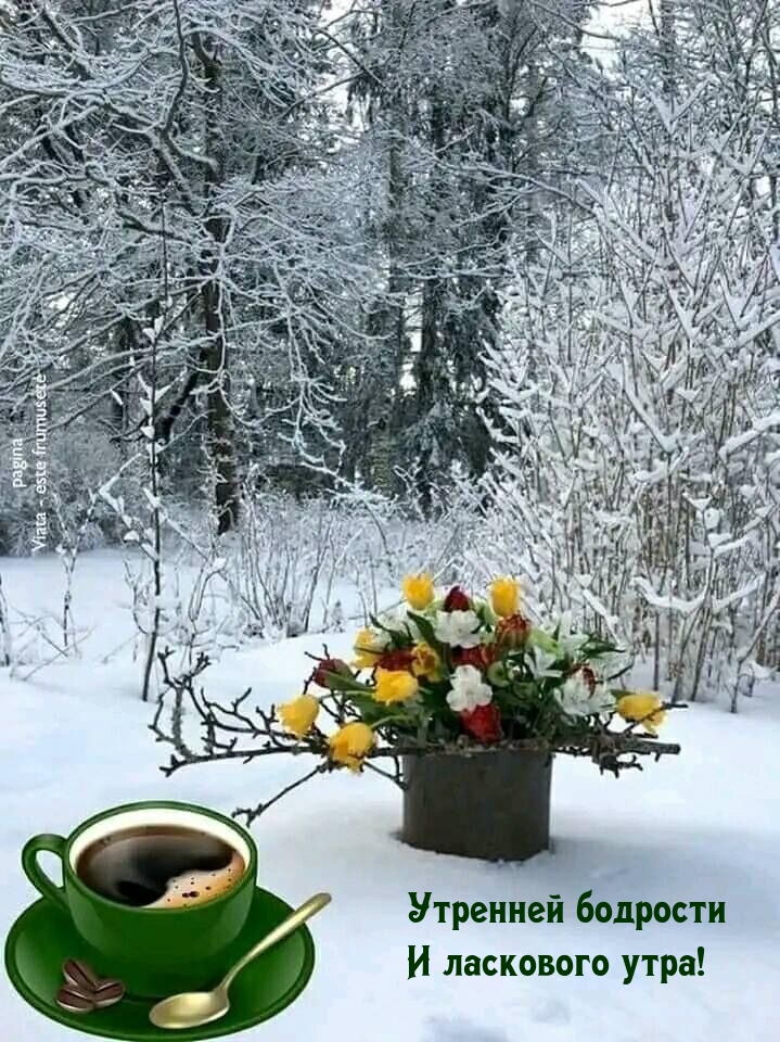 Утренней бодрости и ласкового утра!