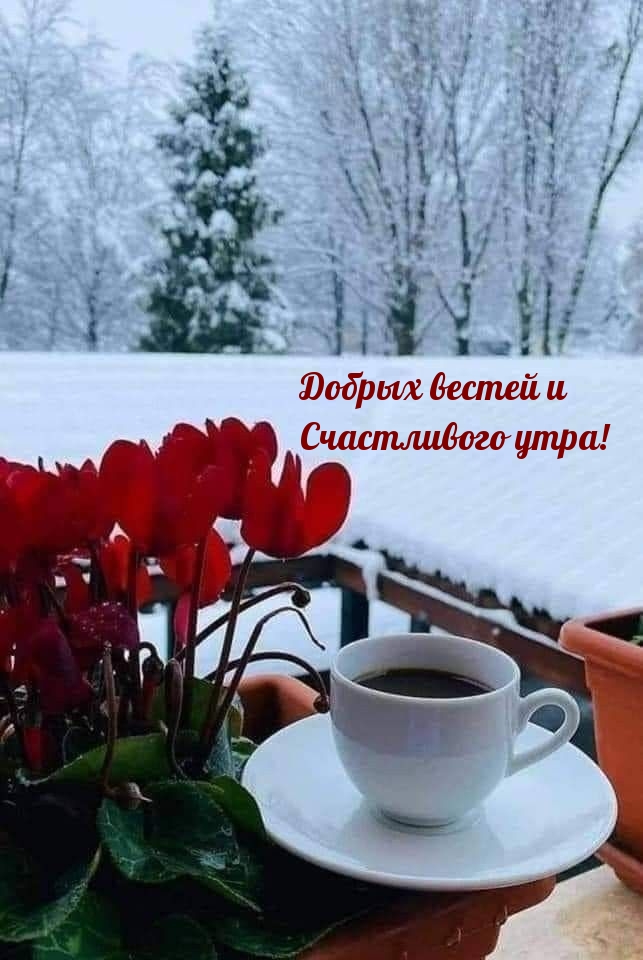 Добрых вестей и Счастливого утра!