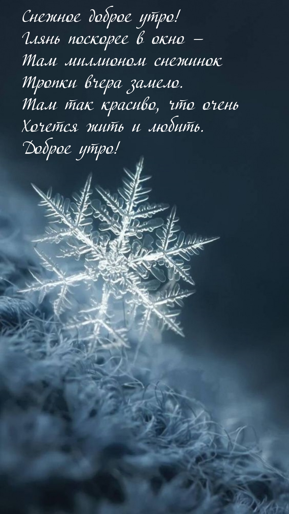 Снежное доброе утро! Там миллионом снежинок Тропки вчера замело.