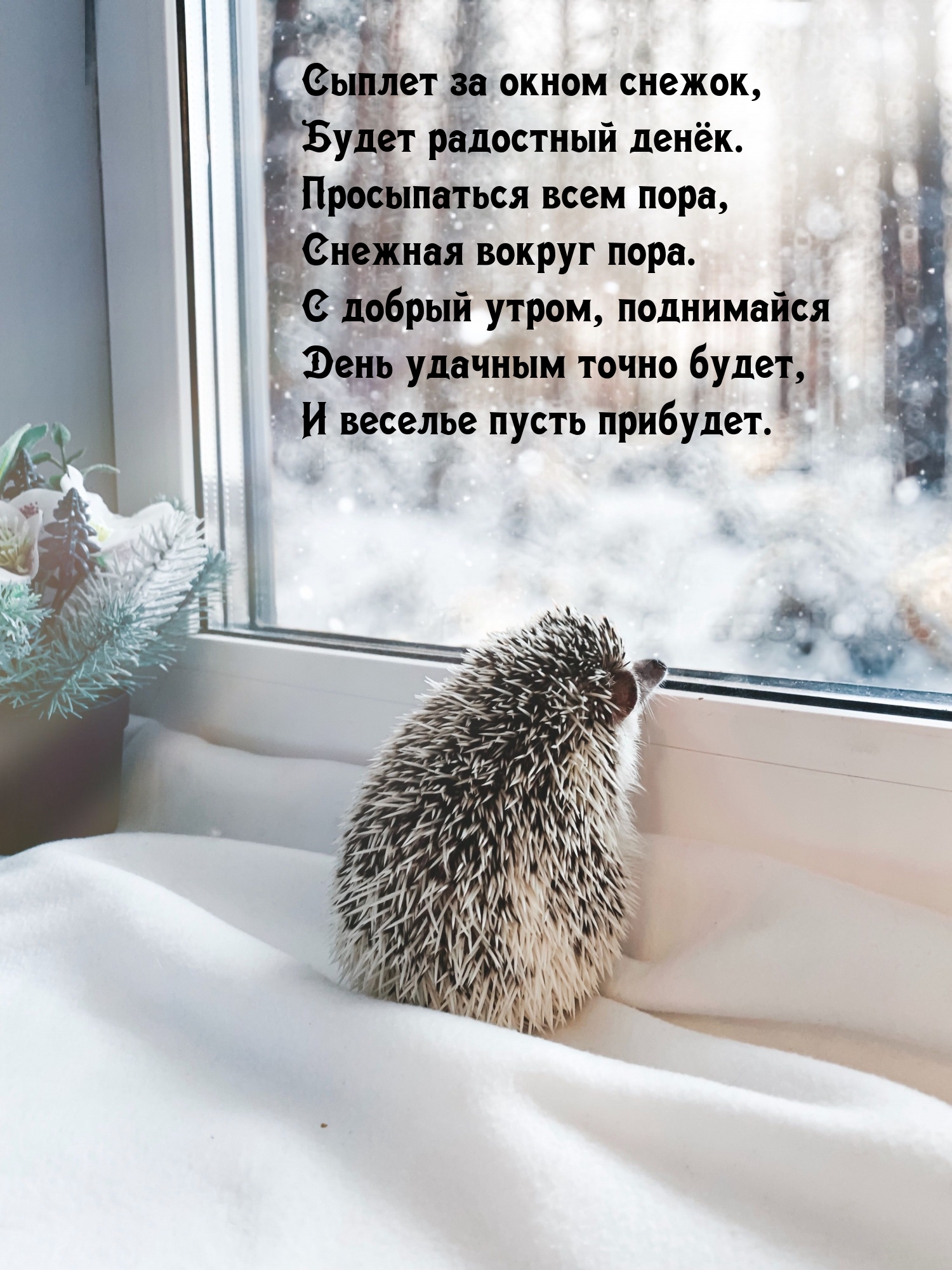 Сыплет за окном снежок, будет радостный денёк.