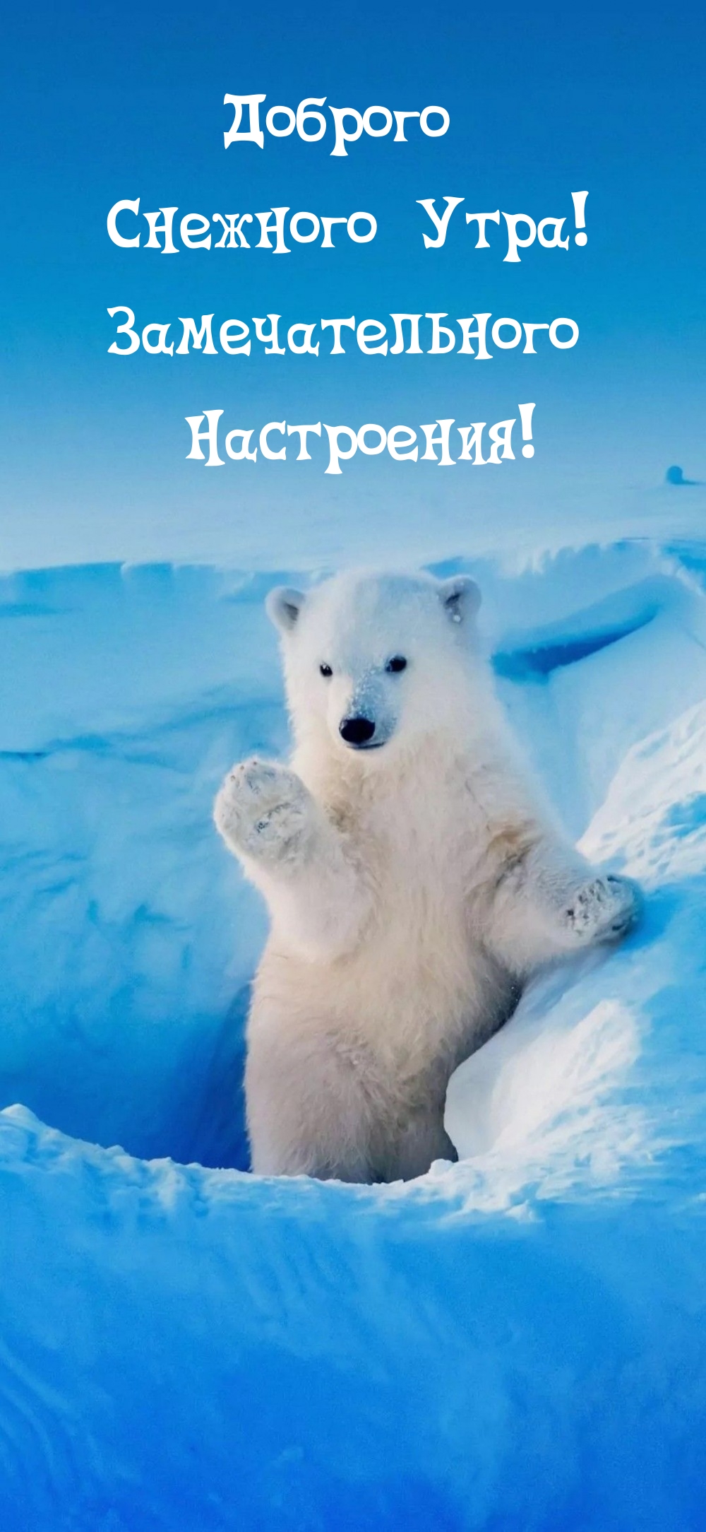 Доброго Снежного Утра! Замечательного Настроения!