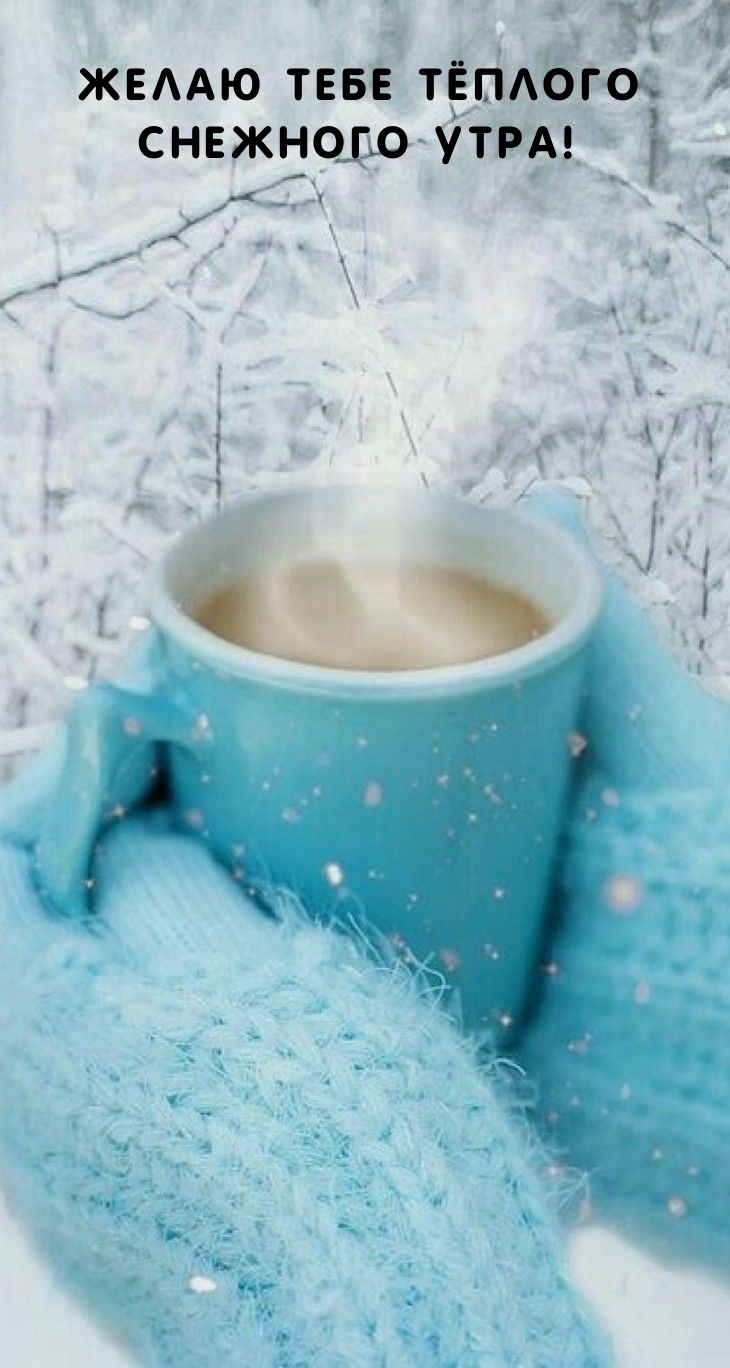 Желаю тебе тёплого снежного утра!