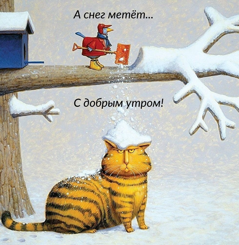 А снег метёт... С добрым утром!