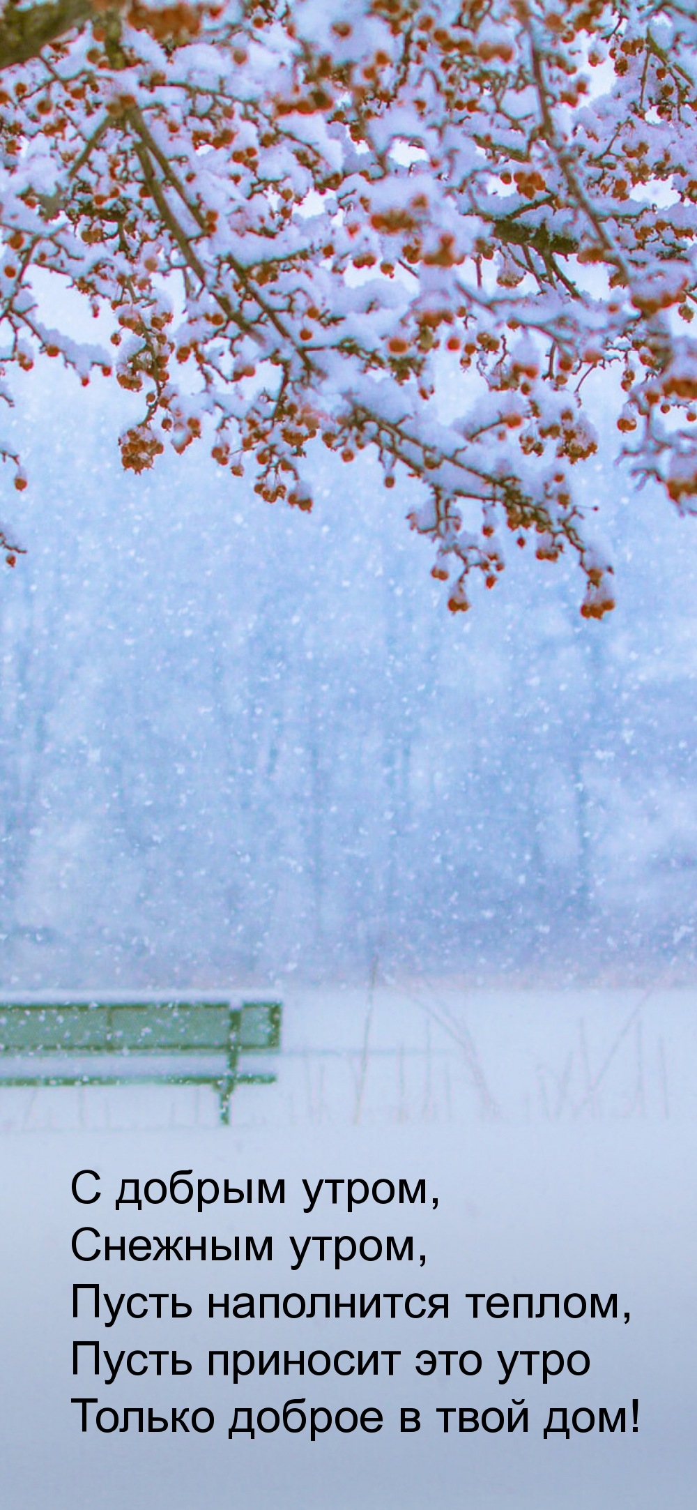 С добрым утром, снежным утром, пусть наполнится теплом